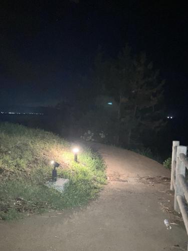 東尋坊の画像