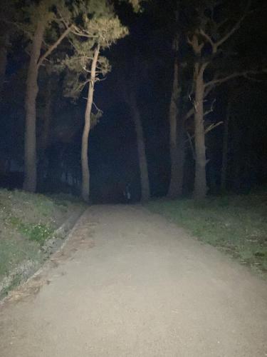 東尋坊の画像