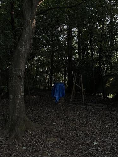 七里殺人の森の画像