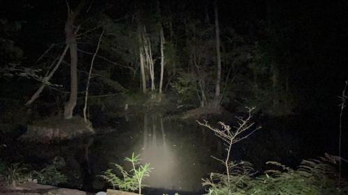 こんぶくろ池の写真