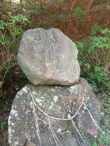 猫峠の写真