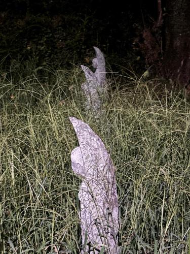 六地蔵の画像
