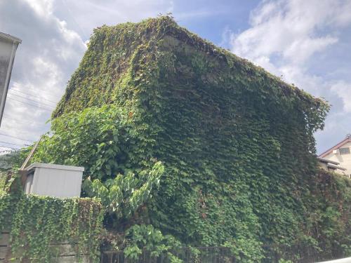 日野南の緑もこもこハウスの画像