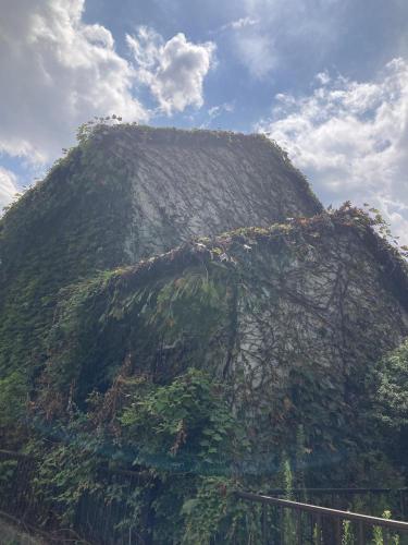 日野南の緑もこもこハウスの写真