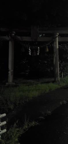 天狗の森（八坂神社）の写真