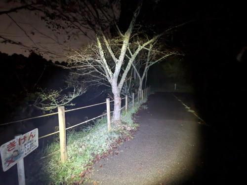 はたご池の画像