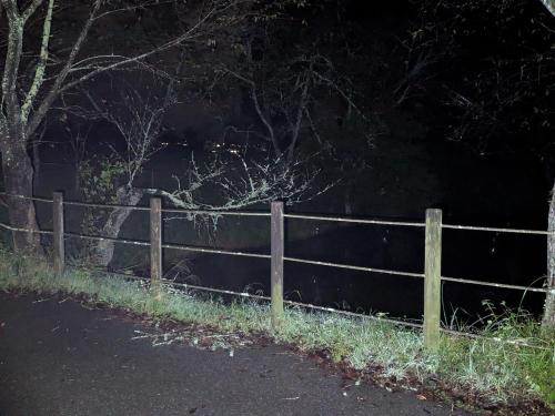 はたご池の写真