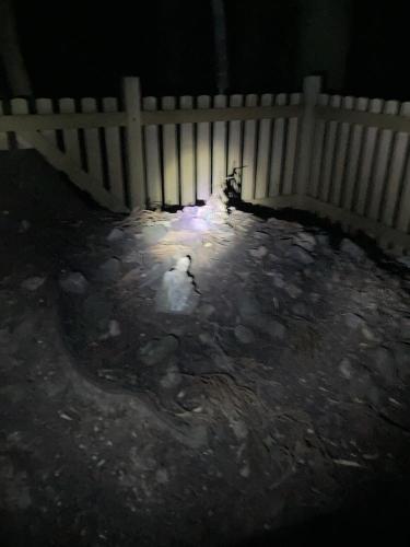 首塚大明神の写真