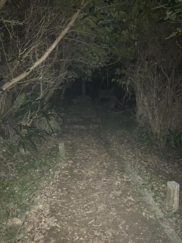 大山貝塚の画像