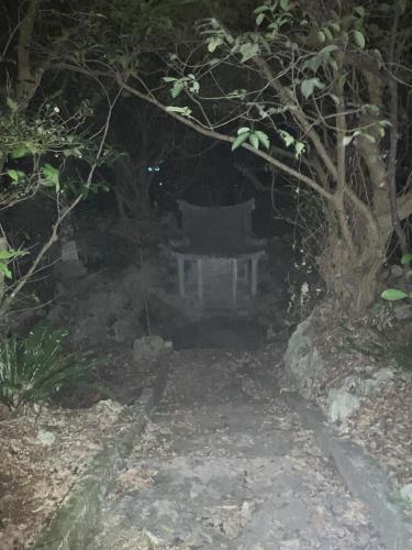 大山貝塚の画像