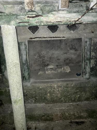 大山貝塚の画像