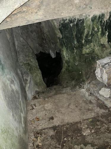 大山貝塚の画像