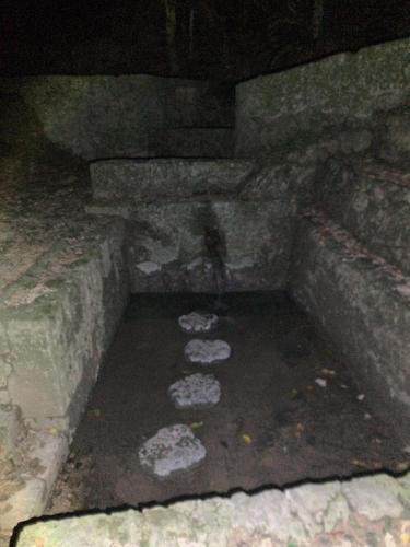 森川公園の画像