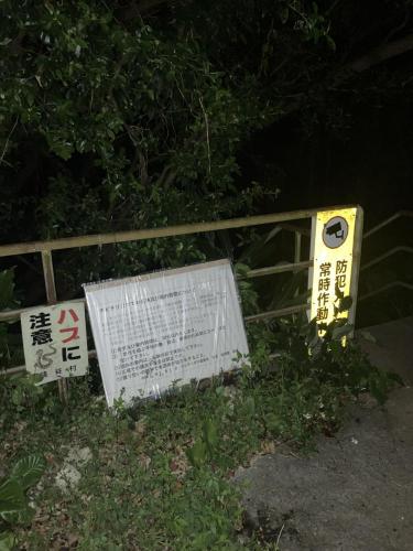 チビチリガマ/シムクガマの画像