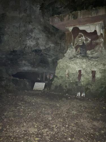 チビチリガマ/シムクガマの画像