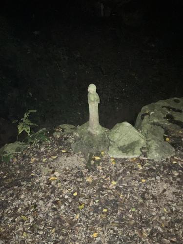 チビチリガマ/シムクガマの画像