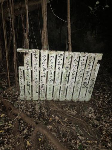 チビチリガマ/シムクガマの画像