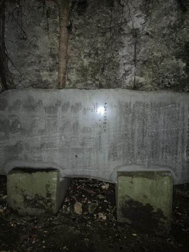 チビチリガマ/シムクガマの画像