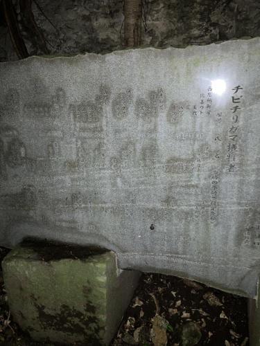 チビチリガマ/シムクガマの画像