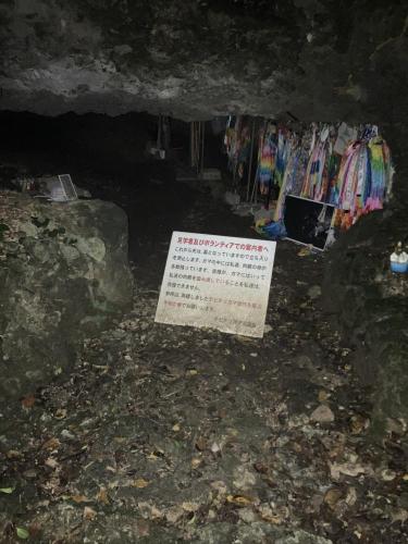 チビチリガマ/シムクガマの画像