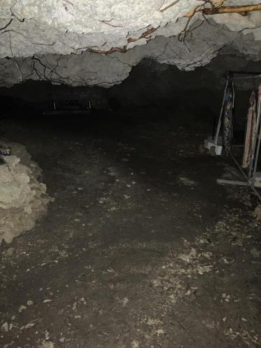 チビチリガマ/シムクガマの画像