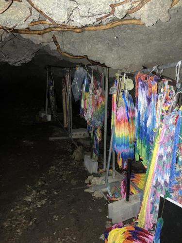 チビチリガマ/シムクガマの画像