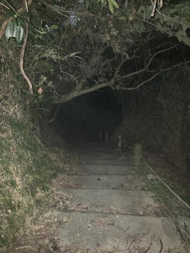 真のsss（シーゾーグムイ付近新川川流域にある御嶽）の画像