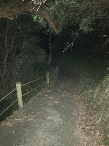 真のsss（シーゾーグムイ付近新川川流域にある御嶽）の画像