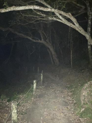 真のsss（シーゾーグムイ付近新川川流域にある御嶽）の画像