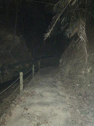 真のsss（シーゾーグムイ付近新川川流域にある御嶽）の画像