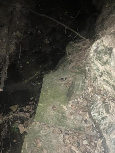 真のsss（シーゾーグムイ付近新川川流域にある御嶽）の画像