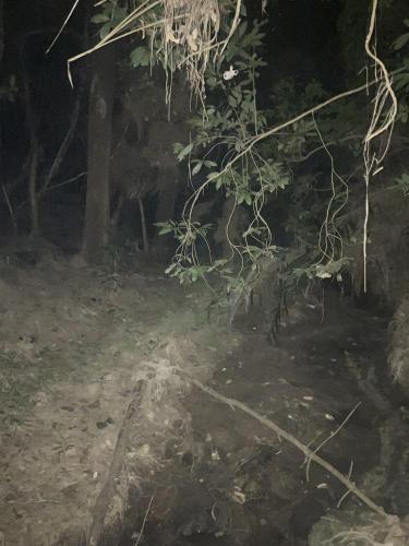 真のsss（シーゾーグムイ付近新川川流域にある御嶽）の画像