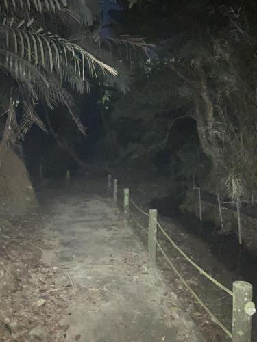 真のsss（シーゾーグムイ付近新川川流域にある御嶽）の画像