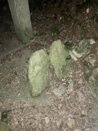 真のsss（シーゾーグムイ付近新川川流域にある御嶽）の画像