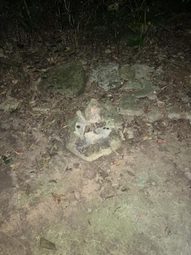 真のsss（シーゾーグムイ付近新川川流域にある御嶽）の写真