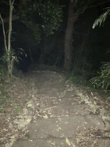 ＳＳＳ（アフシマノ嶽）の画像