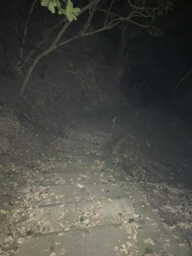 ＳＳＳ（アフシマノ嶽）の画像