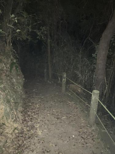 ＳＳＳ（アフシマノ嶽）の画像