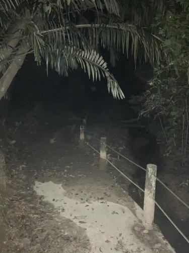 ＳＳＳ（アフシマノ嶽）の画像