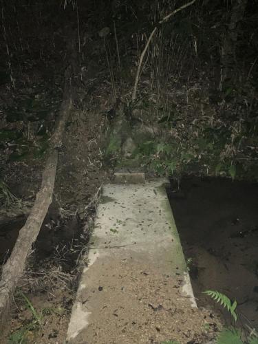 ＳＳＳ（アフシマノ嶽）の画像