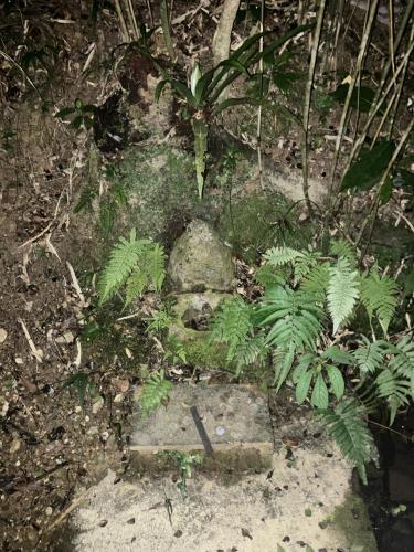 ＳＳＳ（アフシマノ嶽）の画像