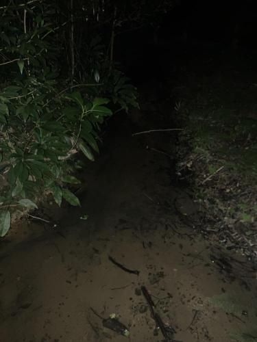 ＳＳＳ（アフシマノ嶽）の画像