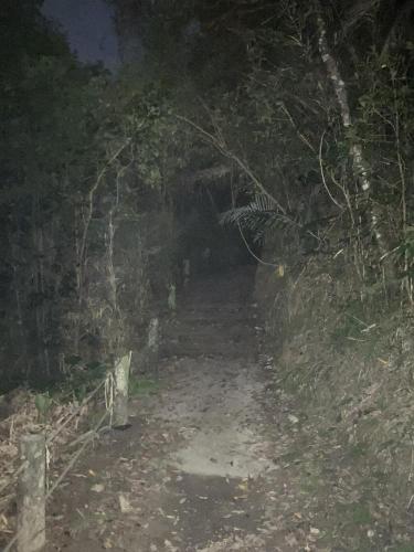 ＳＳＳ（アフシマノ嶽）の画像