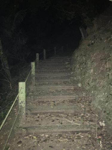 ＳＳＳ（アフシマノ嶽）の画像