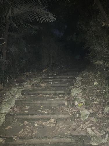 ＳＳＳ（アフシマノ嶽）の画像