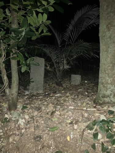 ＳＳＳ（アフシマノ嶽）の画像