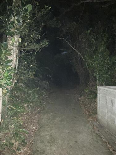 ＳＳＳ（アフシマノ嶽）の画像