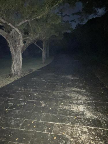 平和記念公園の画像