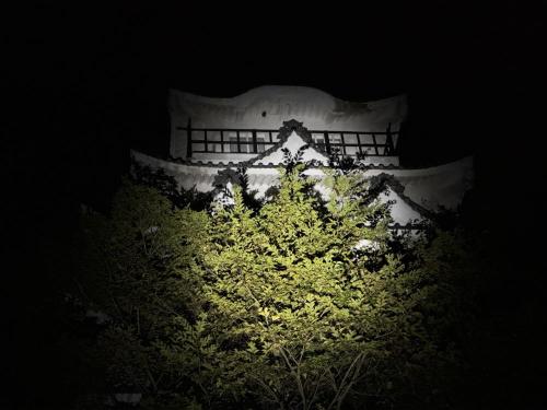 レストホテル道後城 の写真