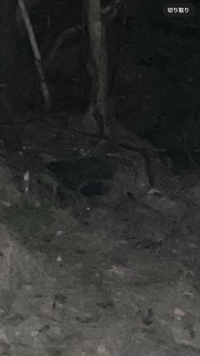 真のsss（シーゾーグムイ付近新川川流域にある御嶽）の画像